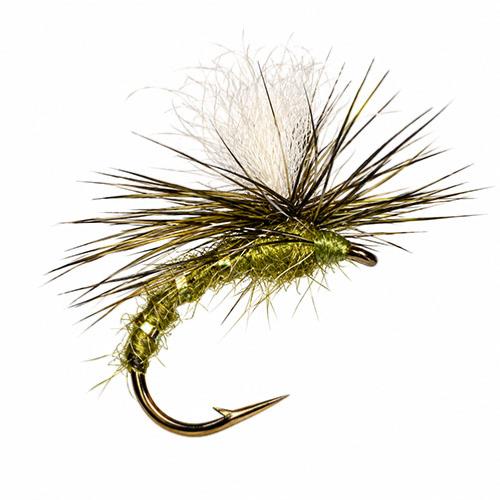 Parachute Olive Silver