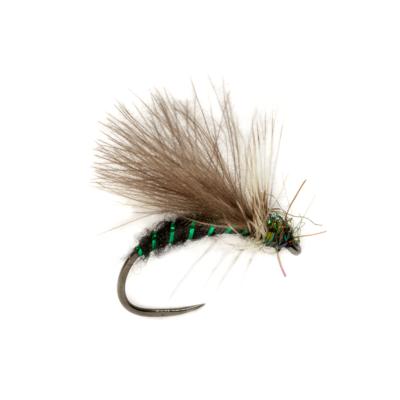 PROCTER'S CDC APT BARBLESS