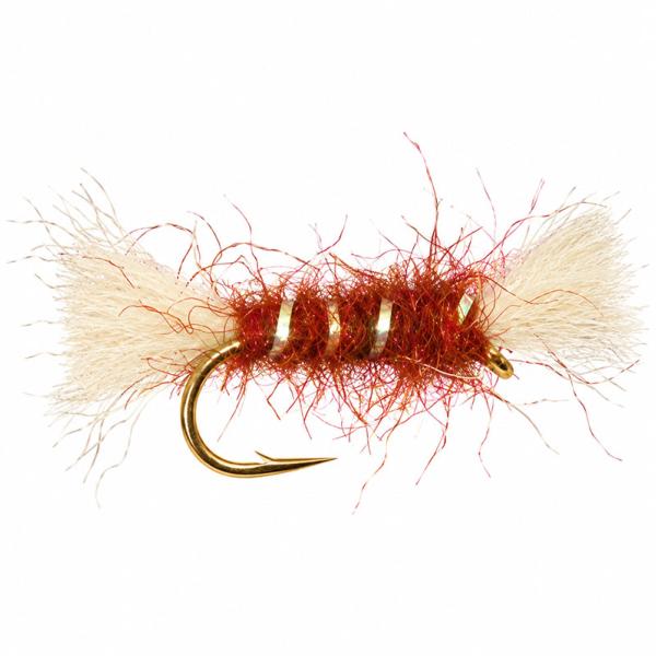 Shipman's Buzzer Marron