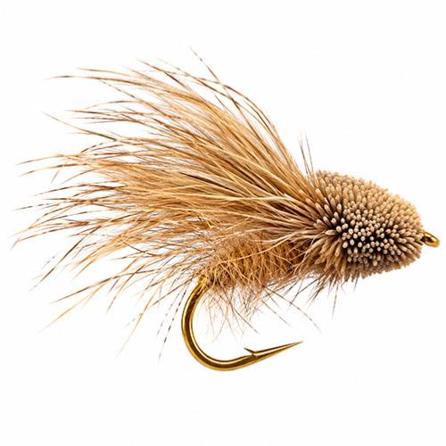 Streaking Caddis