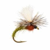 Parachute Olive Roux