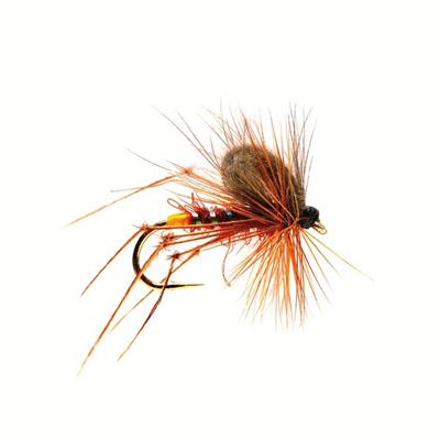 CdC Fiery Brown