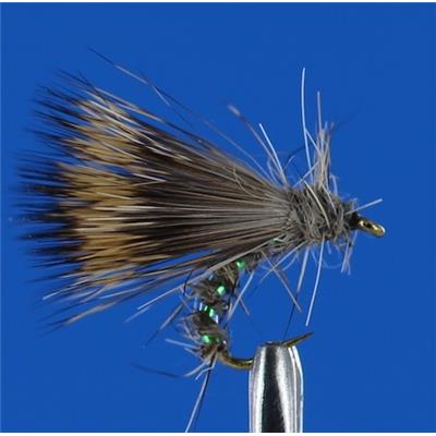 Sedge Emergent