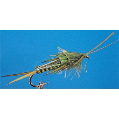 StoneFly Tissée