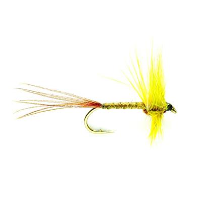 Mosely Mayfly
