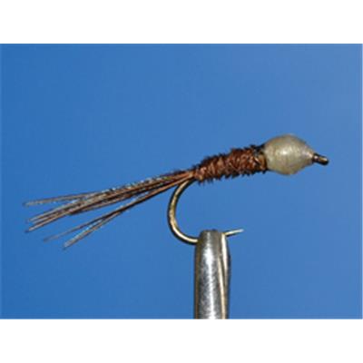 Pheasant Tail Tête Blanche