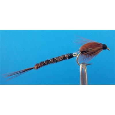 Wiggles Pheasant Tail