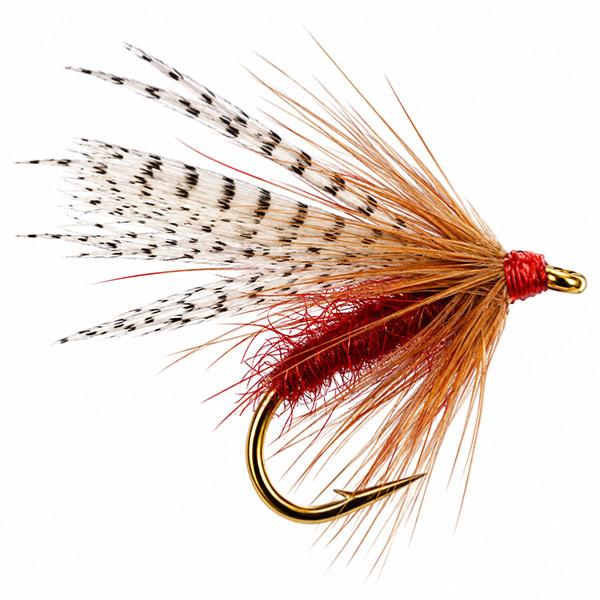 Claret Bumble Ginger