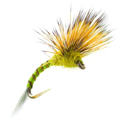 Comparadun Quill Olive