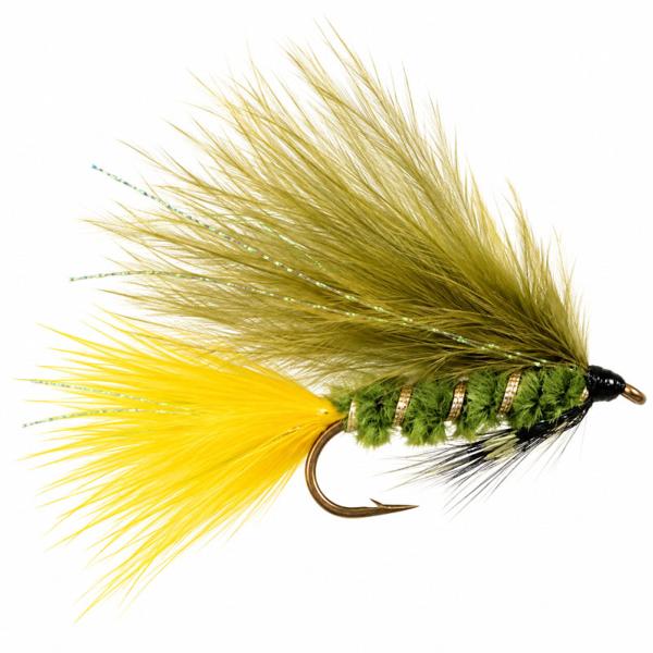 Dawson Olive