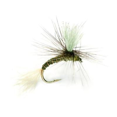 Emerger Olive