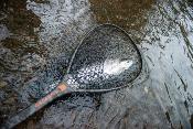 Nomad Mid-Length Boat Net
