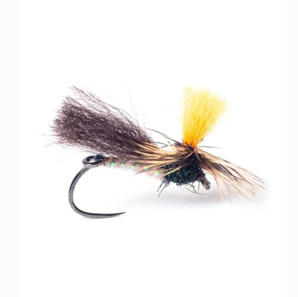 Indi Caddis