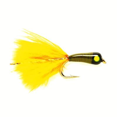 Lead Bug Olive Sunburst