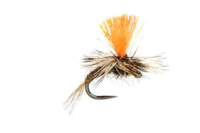 Lewis' Paradun Emerger
