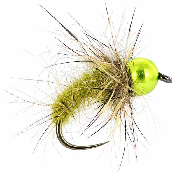 Tungstène All Olive