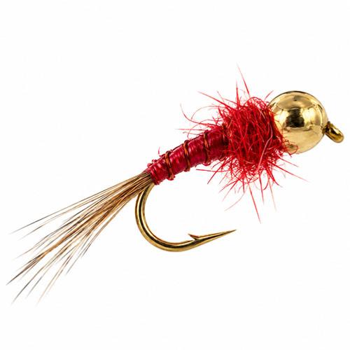 Tungstène Red Quill