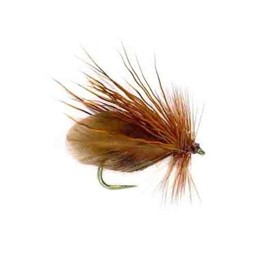 Caddis Andrzejs Polish