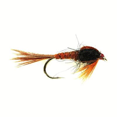 Pheasant Tail Black Weighted