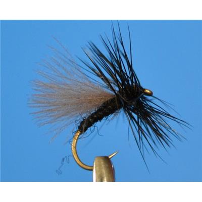 Sedge CDC Noir