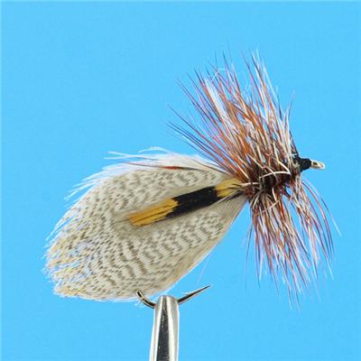 Sedge Hornberg