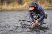 Nomad Mid-Length Boat Net