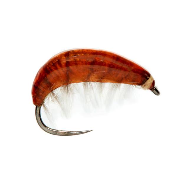 Juglaret's French Gammarus Brown