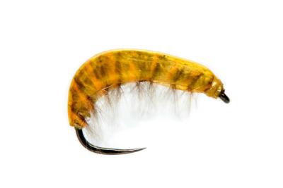 Juglaret's French Gammarus Yellow