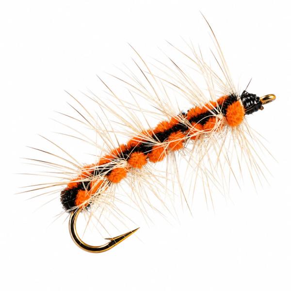 La chenille Orange