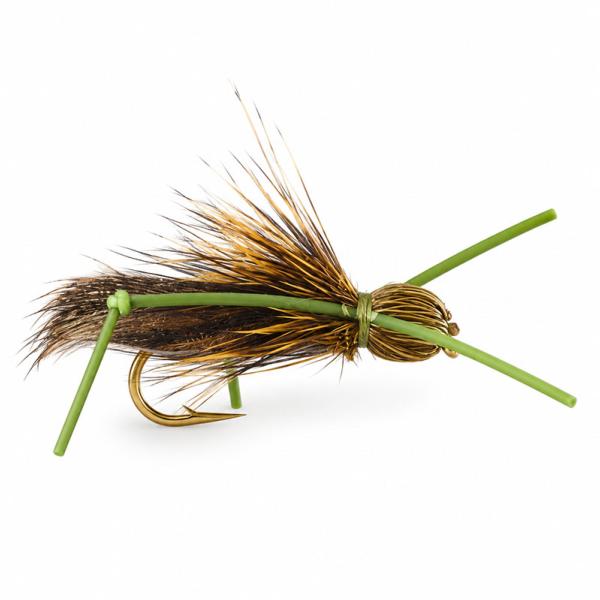 Sauterelle Verte