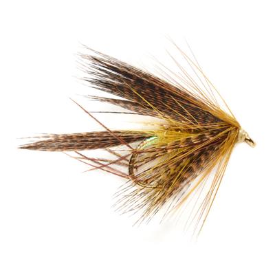 McPhail Leggy Dabbler Golden Olive