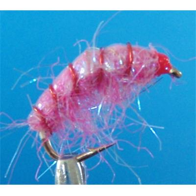 Shrimp Pink