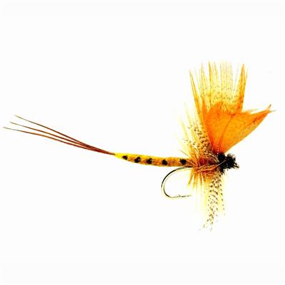 Mayfly Thomas Yellow