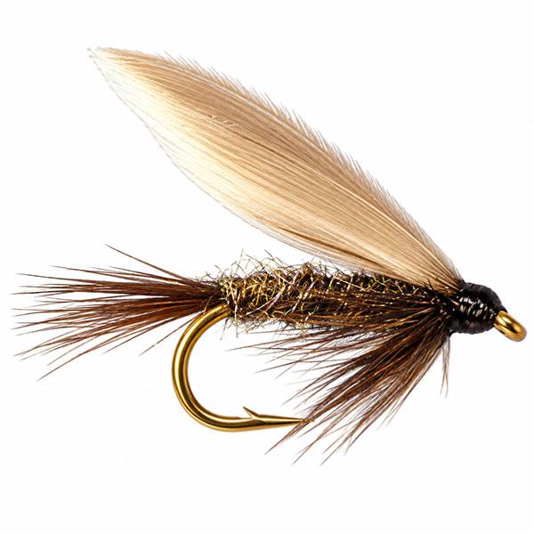 Black Gnat