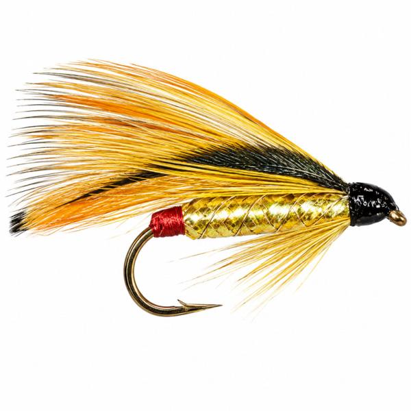 Golden Darter