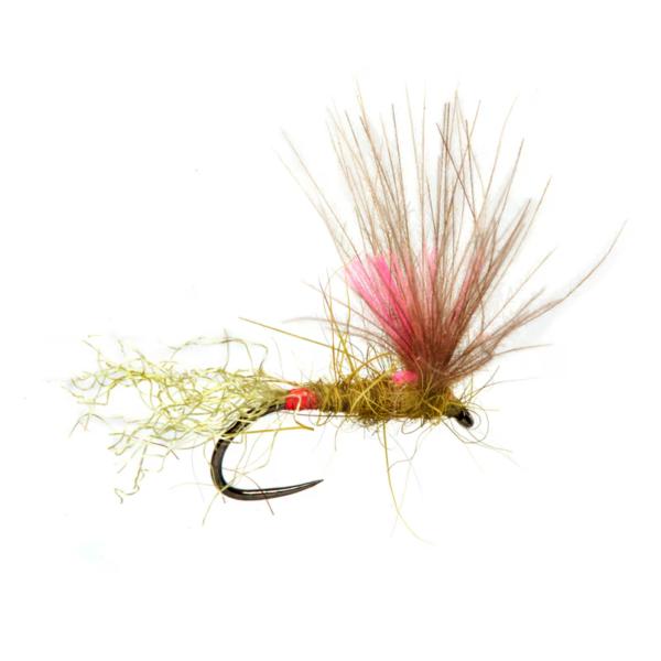Juglaret's Red Flash Mayfly Sub