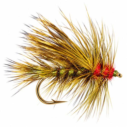 Stimulator Olive