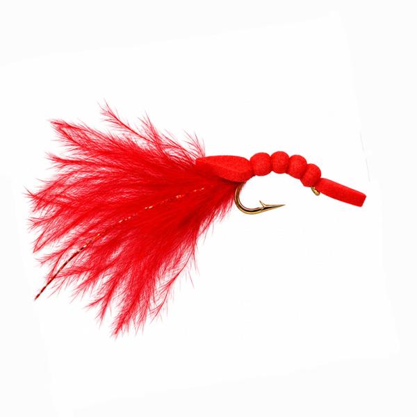 Worm Red Marabout