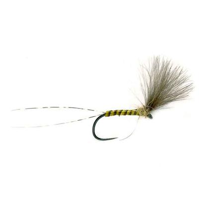 Quill Plume Tip Dry Barbless