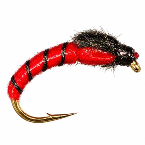 Chiro Thorax Rouge
