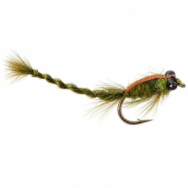 Damsel Dark Olive