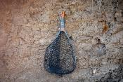 Nomad YAMPA Hand Net 2.0