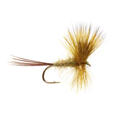 Jackie's Arrow Green Mayfly