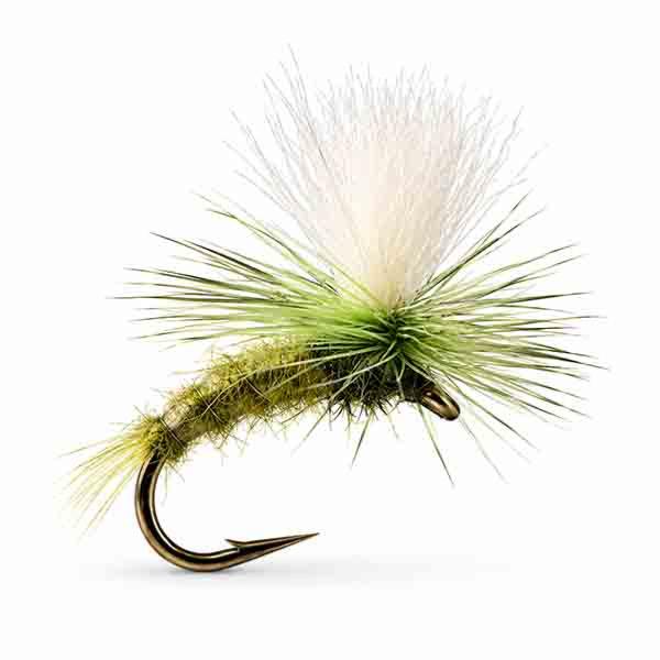 Klinkhammer Olive Clair