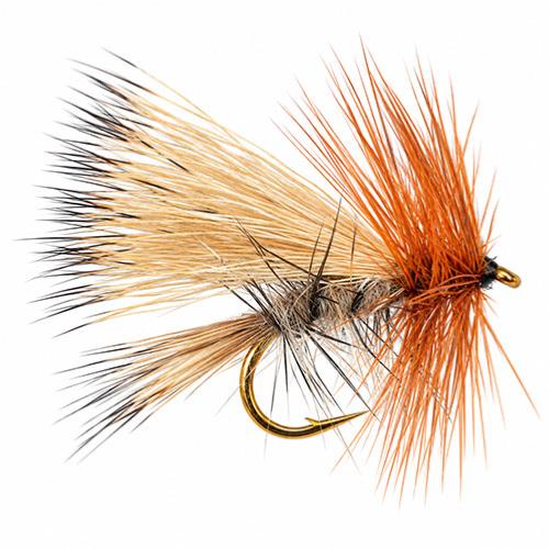 Le Sedge Helk