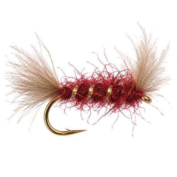 Shipman 's CDC Bordeaux