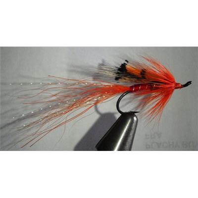 Ally's Shrimp