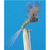 Comparadun Quill Olive