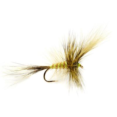 McPhail Big Wave Olive Wulff