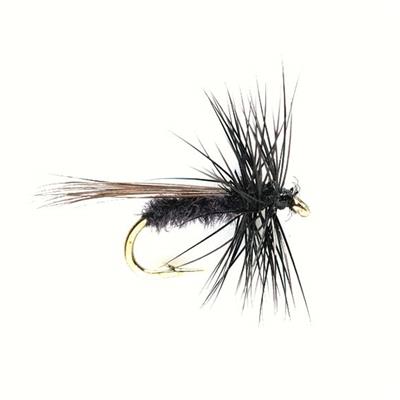 Caddis Mini Black